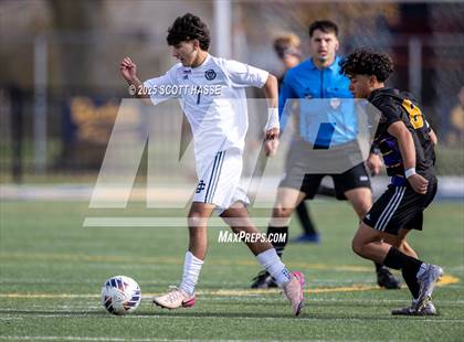Thumbnail 1 in MHSAA D-3 Final: South Haven vs. Detroit Country Day photogallery.