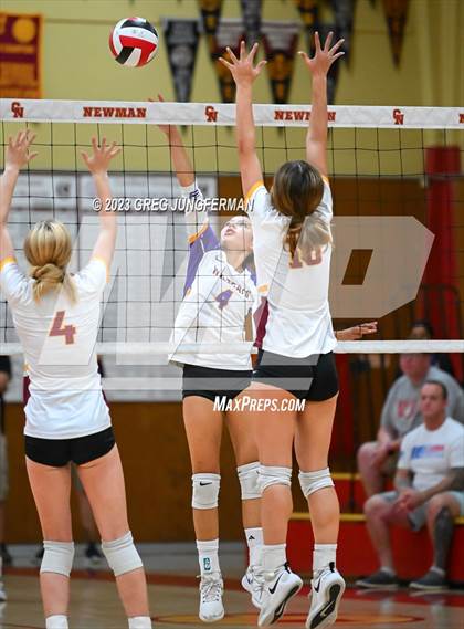 Thumbnail 3 in Ukiah @ Cardinal Newman photogallery.