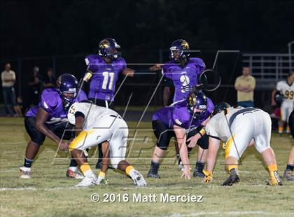 Thumbnail 1 in Kellam @ Tallwood photogallery.
