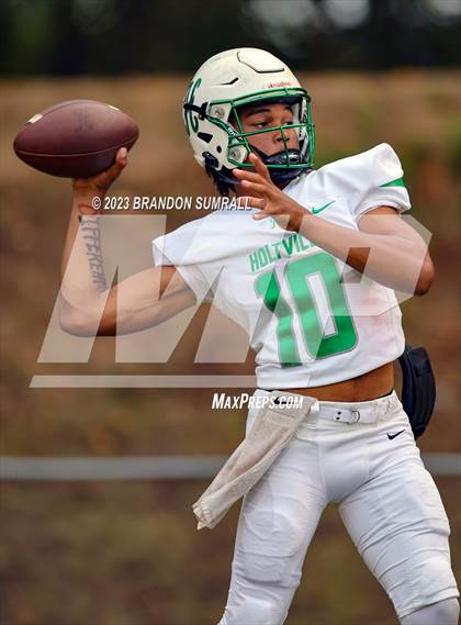 Thumbnail 1 in Holtville @ Jemison photogallery.