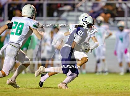 Thumbnail 1 in Holtville @ Jemison photogallery.