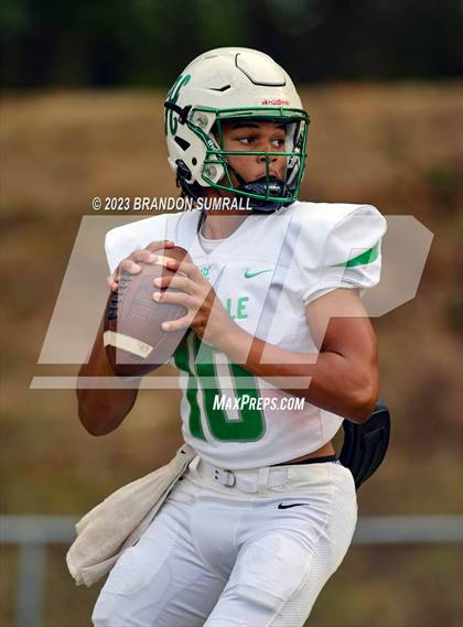 Thumbnail 2 in Holtville @ Jemison photogallery.