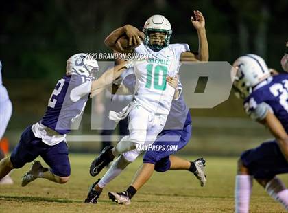 Thumbnail 2 in Holtville @ Jemison photogallery.