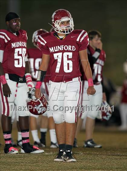 Thumbnail 1 in Jackson North Side @ Munford photogallery.