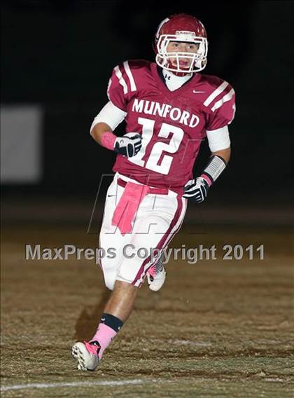 Thumbnail 3 in Jackson North Side @ Munford photogallery.