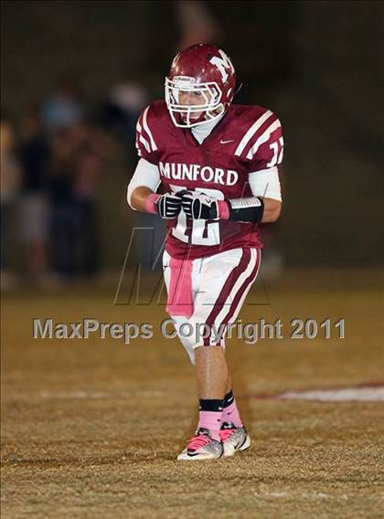 Thumbnail 3 in Jackson North Side @ Munford photogallery.