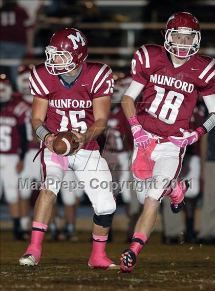 Thumbnail 1 in Jackson North Side @ Munford photogallery.