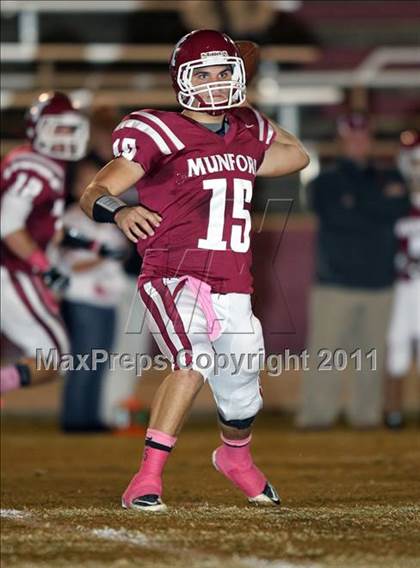 Thumbnail 2 in Jackson North Side @ Munford photogallery.