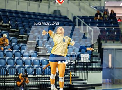 Thumbnail 2 in O'Connor vs. Dawson (UIL Volleyball 6A D1 State Semifinals) photogallery.