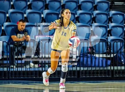 Thumbnail 3 in O'Connor vs. Dawson (UIL Volleyball 6A D1 State Semifinals) photogallery.