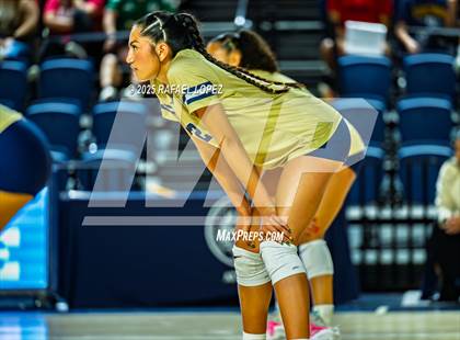 Thumbnail 2 in O'Connor vs. Dawson (UIL Volleyball 6A D1 State Semifinals) photogallery.