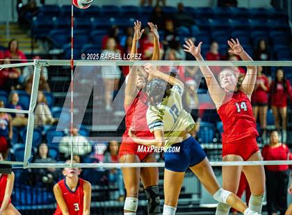 Thumbnail 2 in O'Connor vs. Dawson (UIL Volleyball 6A D1 State Semifinals) photogallery.