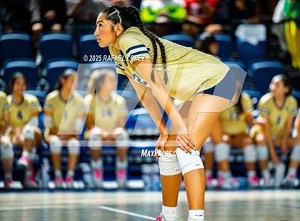 Thumbnail 1 in O'Connor vs. Dawson (UIL Volleyball 6A D1 State Semifinals) photogallery.