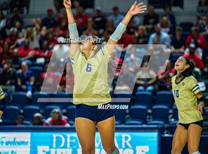 Thumbnail 1 in O'Connor vs. Dawson (UIL Volleyball 6A D1 State Semifinals) photogallery.