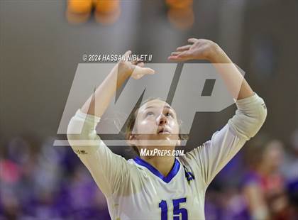 Thumbnail 1 in Ringgold vs. Lambert photogallery.