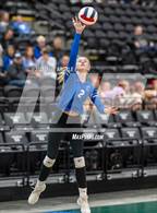 Photo from the gallery "Pleasant Grove vs. American Fork (UHSAA 6A Second Round)"