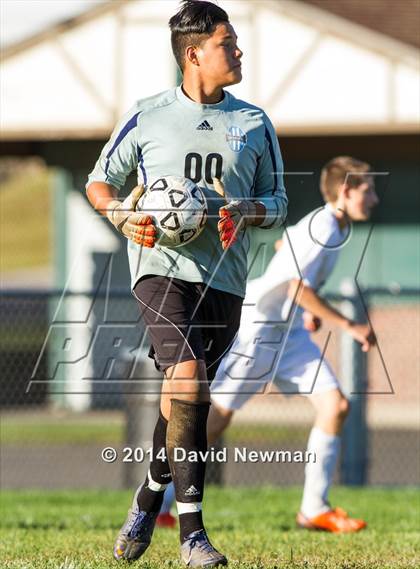 Thumbnail 1 in Suffield @ Sports & Medical Sciences Academy photogallery.