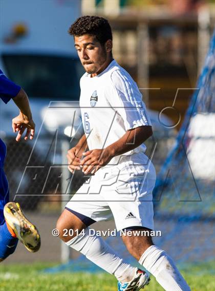 Thumbnail 1 in Suffield @ Sports & Medical Sciences Academy photogallery.