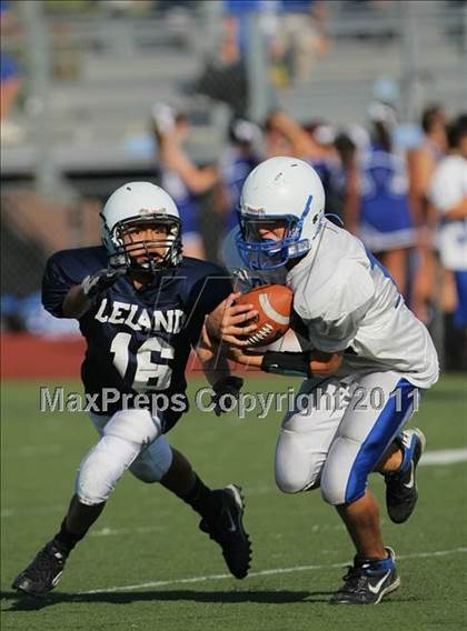 Thumbnail 2 in Pioneer @ Leland photogallery.