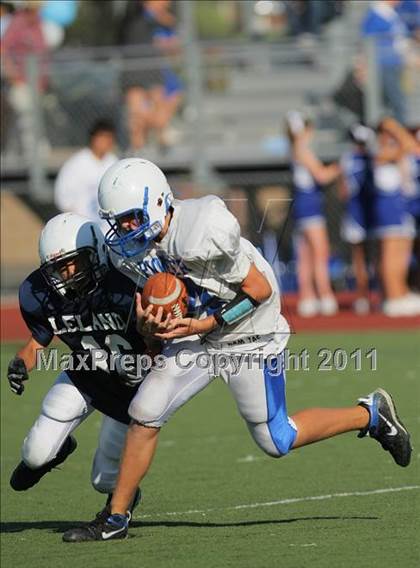 Thumbnail 3 in Pioneer @ Leland photogallery.