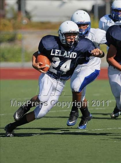 Thumbnail 1 in Pioneer @ Leland photogallery.