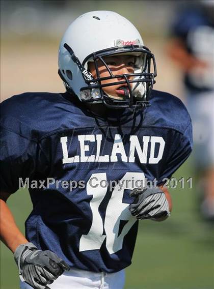 Thumbnail 1 in Pioneer @ Leland photogallery.
