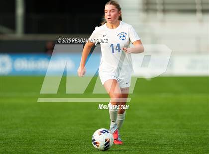 Thumbnail 2 in Chippewa vs Madeira (OHSAA Division V Final) photogallery.