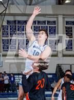 Photo from the gallery "Stamford @ Wilton"