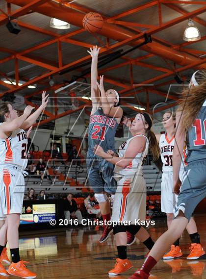 Thumbnail 3 in Frankfort @ Herrin photogallery.