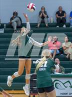 Photo from the gallery "Saltillo @ Lake Cormorant"