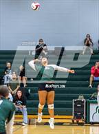 Photo from the gallery "Saltillo @ Lake Cormorant"