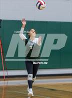 Photo from the gallery "Saltillo @ Lake Cormorant"