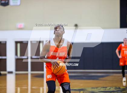 Thumbnail 3 in Mount Dora @ East Ridge photogallery.