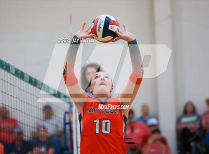 Thumbnail 2 in Glen Rose @ Blum photogallery.
