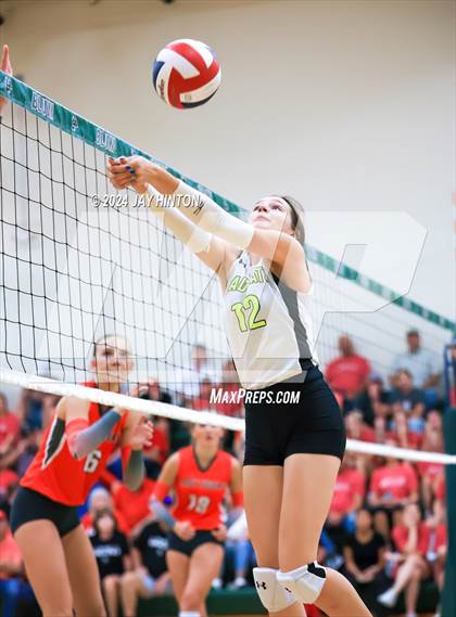 Thumbnail 3 in Glen Rose @ Blum photogallery.