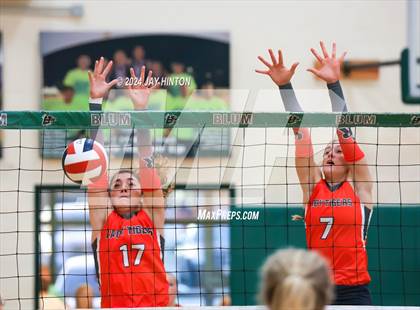 Thumbnail 1 in Glen Rose @ Blum photogallery.