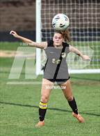 Photo from the gallery "Charlotte Catholic @ Providence"