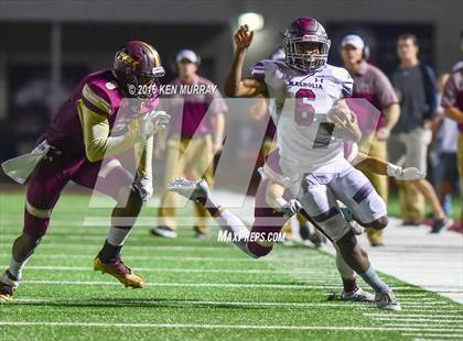 Thumbnail 1 in Magnolia vs Magnolia West photogallery.
