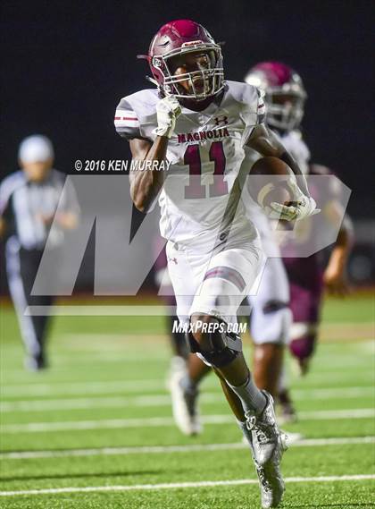 Thumbnail 3 in Magnolia vs Magnolia West photogallery.