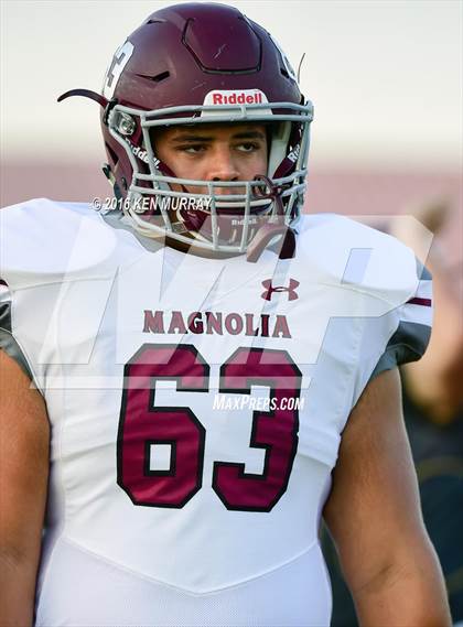 Thumbnail 1 in Magnolia vs Magnolia West photogallery.