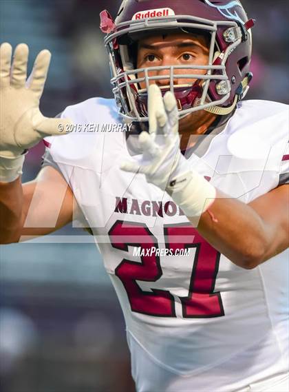 Thumbnail 1 in Magnolia vs Magnolia West photogallery.