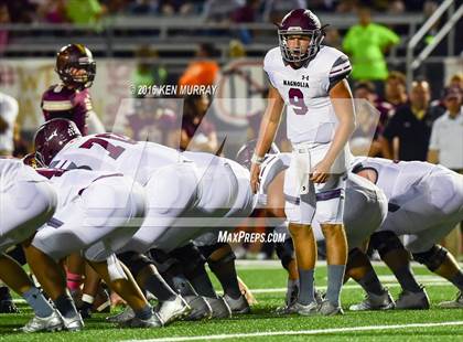 Thumbnail 3 in Magnolia vs Magnolia West photogallery.