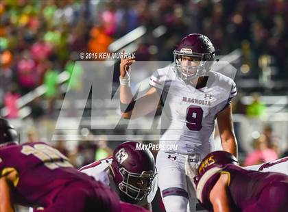 Thumbnail 3 in Magnolia vs Magnolia West photogallery.