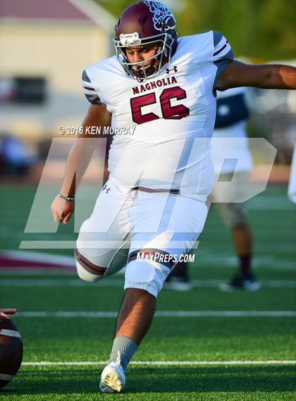 Thumbnail 3 in Magnolia vs Magnolia West photogallery.