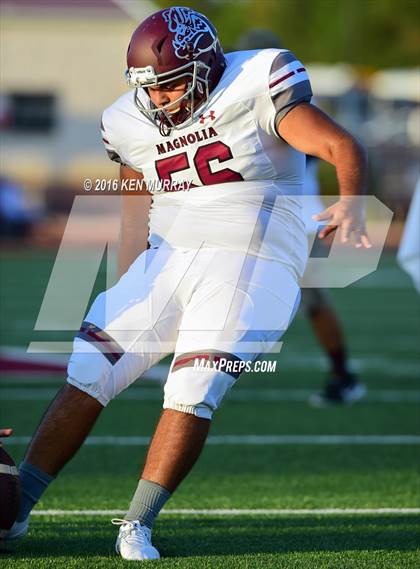 Thumbnail 1 in Magnolia vs Magnolia West photogallery.