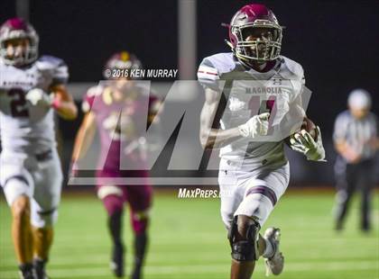 Thumbnail 2 in Magnolia vs Magnolia West photogallery.