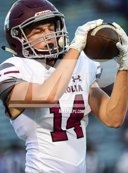 Thumbnail 2 in Magnolia vs Magnolia West photogallery.