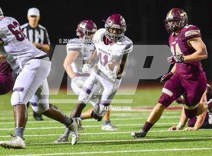 Thumbnail 2 in Magnolia vs Magnolia West photogallery.