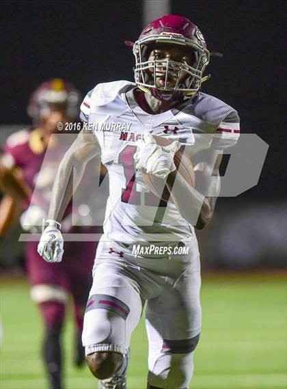 Thumbnail 3 in Magnolia vs Magnolia West photogallery.