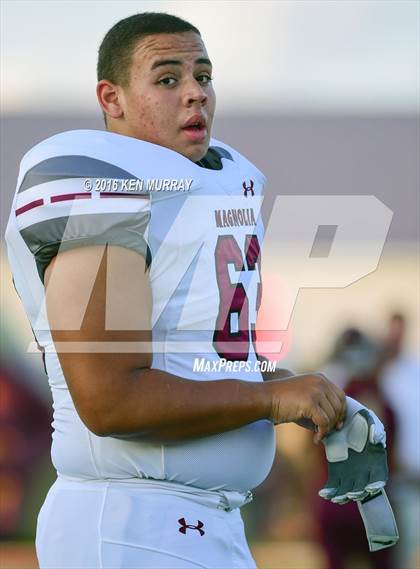 Thumbnail 2 in Magnolia vs Magnolia West photogallery.